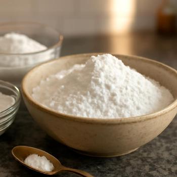 Homemade Powdered Sugar