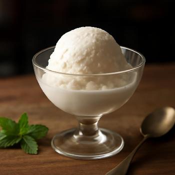 Coconut Milk Ice Cream