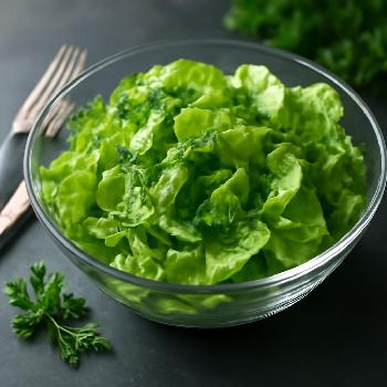 Butter Lettuce Salad with Herbs Recipe