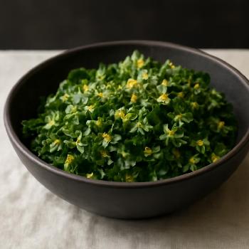 Zesty Parsley & Lemon Salad Sprinkles